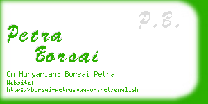 petra borsai business card